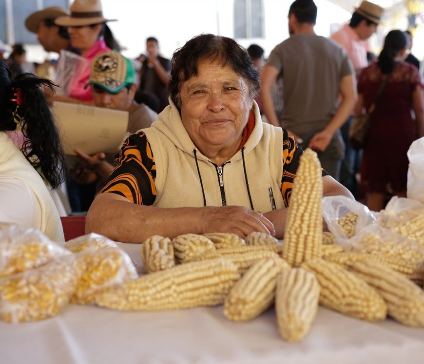 Campesina de la comunidad Vicente Guerrero con maíz criollo de la milpa
