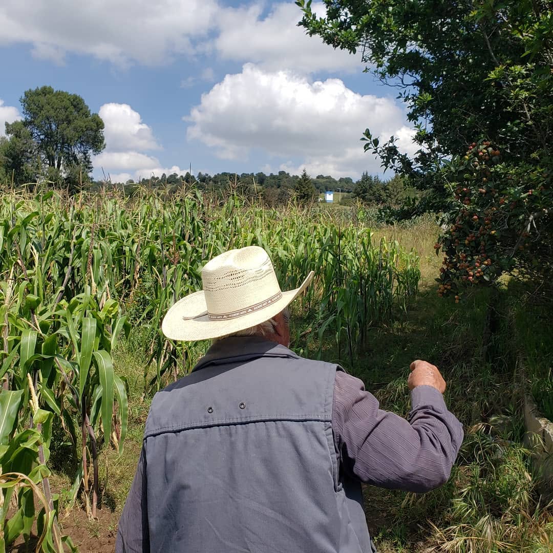 Comunidad campesina Vicente Guerrero en Tlaxcala, proveedora del maíz criollo de Cintli