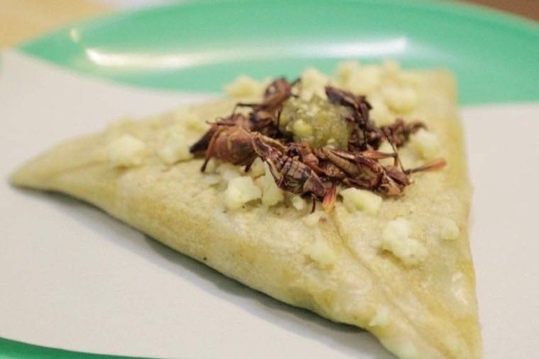 Reportaje de Dónde Ir sobre los antojitos de Cintli